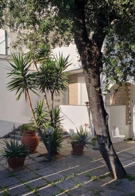 Ferienwohnung Lecci Al Mare San Vincenzo Exterior foto