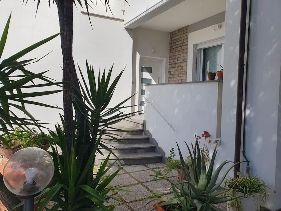 Ferienwohnung Lecci Al Mare San Vincenzo Exterior foto